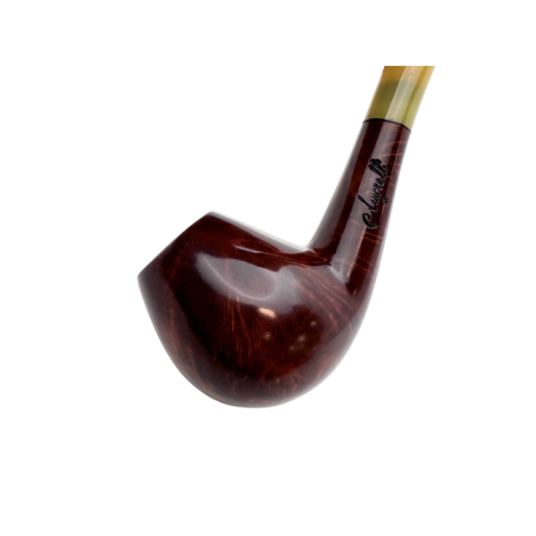 Pipa Amorelli